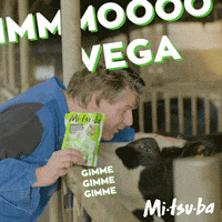 MenkenOrlando snacks vega koe borrel GIF