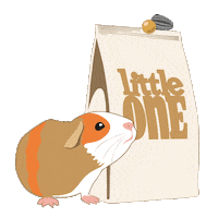 Hamster Adventures Sticker by Little One