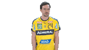 Handball-Bundesliga Pose Sticker by LIQUI MOLY HBL