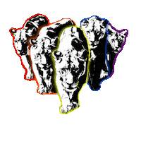 Pride Lion Sticker