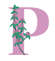 yerbaverdeflor flower flowers argentina flores Sticker