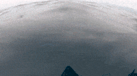 4Ocean