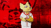 El Paso Reaction GIF by El Paso Chihuahuas