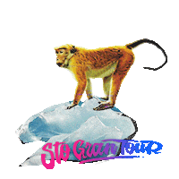 Sticker by Sto Gran Tour