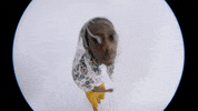 Stressed 90S GIF by JASIAH