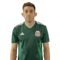 celebrate come on Sticker by MiSelecciónMX