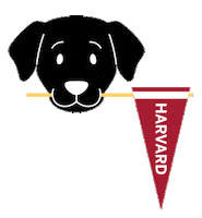 Sasha Sticker by Harvard Alumni Association