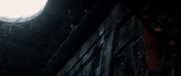 insurgent GIF by The Divergent Series