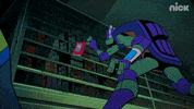 ninja turtles rise of the tmnt GIF by Teenage Mutant Ninja Turtles