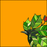 Puerto Rico Images GIF