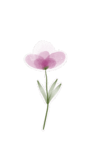 mila_neus pink flowers цветок розовый Sticker
