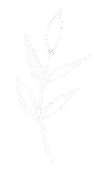 Flowers Minimalism Sticker