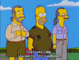 homer simpson episode 6 GIF