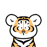 HuCreates cat what illustration why Sticker