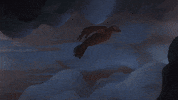Flying Fleet Foxes GIF by ANTI- Records
