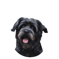 Bali Sticker by EmPlanta