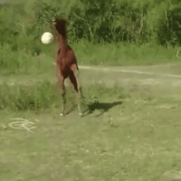 World Cup Football GIF by Respective