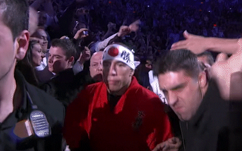 georgesrushstpierre giphyupload fight sports ufc GIF