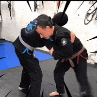 Agatsu bjj jiujitsu agatsu jiujitsu montreal GIF