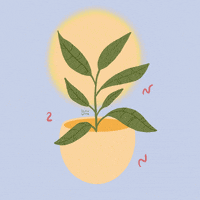 studiomoor spring plants leaf plantmom GIF