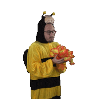 kro-ncrv flowers Sticker by NPO Radio 2