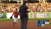 Sport Celebrate GIF by MLB