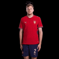 Fifa World Cup Uefa GIF by Respective