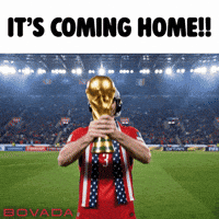 World Cup Czech Fans GIF by Bovada