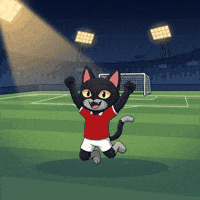 Lets Go Omg GIF by CATBAT