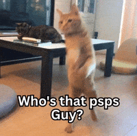 Orange Cat GIF