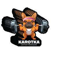 karotka_stargard karotka karolina wolanska centrum treningowe karotka karotka stargard Sticker
