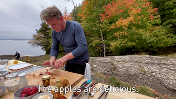 The Apples Are Delicious
