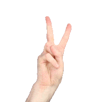Lighthousestudio win winner hand victory Sticker