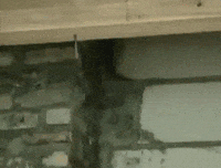 wait GIF