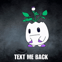 Text Me Waiting For You GIF by Magic Eden