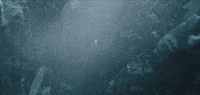 Chase Hunt GIF by Larian Studios