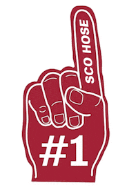 Bluehose Scohose Sticker by Presbyterian College