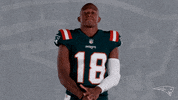 Matthew Slater Reaction GIF by New England Patriots