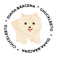 Chuck Pomeranian Sticker by Diana Bárcena