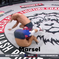 Marsel GIF