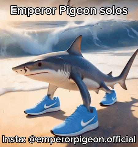 Italian Meme GIF