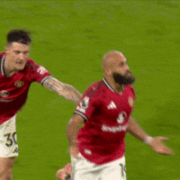 Celebration Shrug GIF by Manchester United