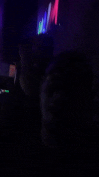 Night Life Party GIF by Nova Sound