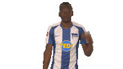 Hertha Bsc Football Sticker by Bundesliga