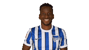 Home Swipe Up Sticker by Hertha BSC