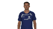 Sv Darmstadt 98 Cheering Sticker by Bundesliga