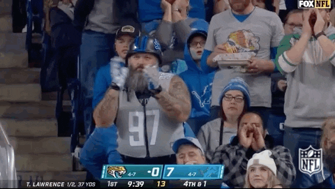 Detroit Lions Football GIF by NFL