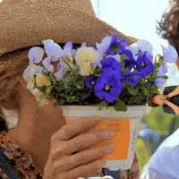 flower boo GIF by Volmary