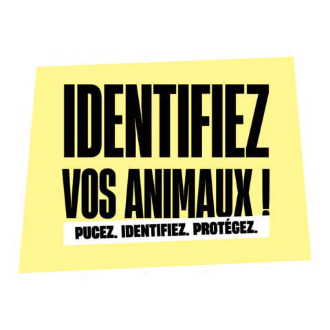 Cat Dog Sticker by Fichier National I-CAD
