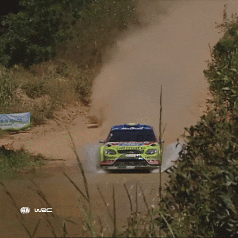 Ford Kick GIF by FIA World Rally Championship